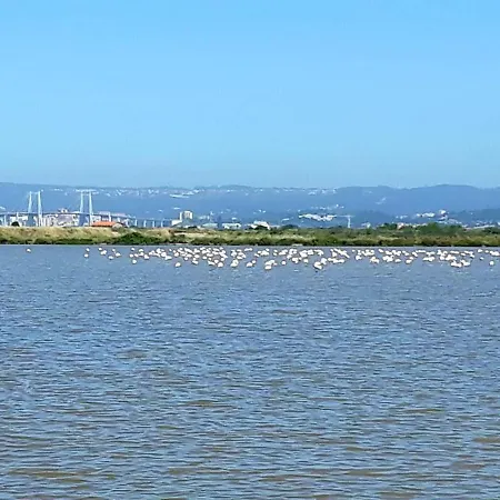 Apartment With 2 Bedrooms In With Wonderful Mountain View And Furnished Garden 500 M From The Beach Figueira da Foz